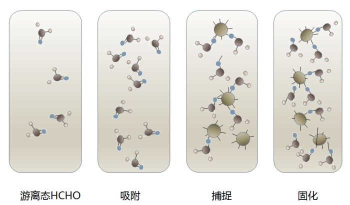 石膏板净化原理(lǐ)示意图